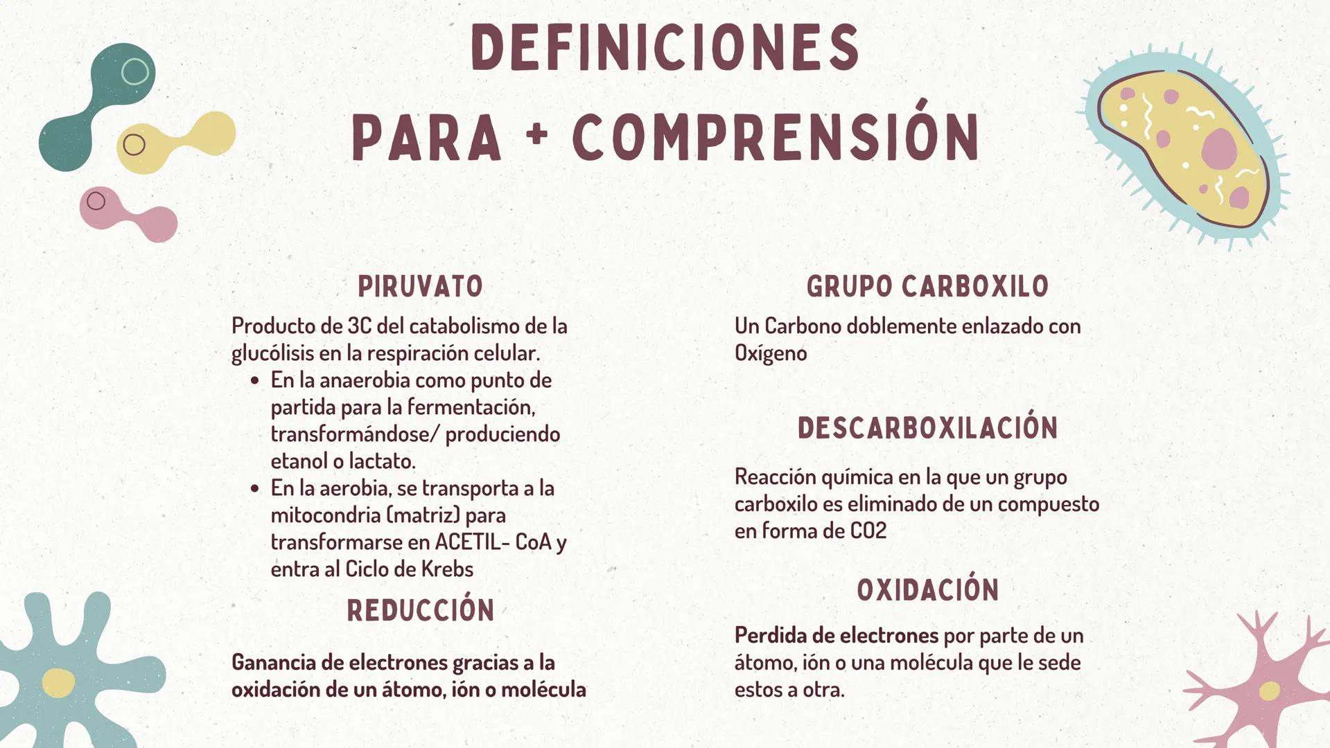 *
FORMACIÓN
DEL
ACETIL-COA
Y EL
CICLO DE KREBS
CASTRO ROSAS FRIDA JULIETA
LEMBELEMBE LEMBELEMBE JOYCE
SANTAMARÍA HERNÁNDEZ TANIA ISABEL
SUAR