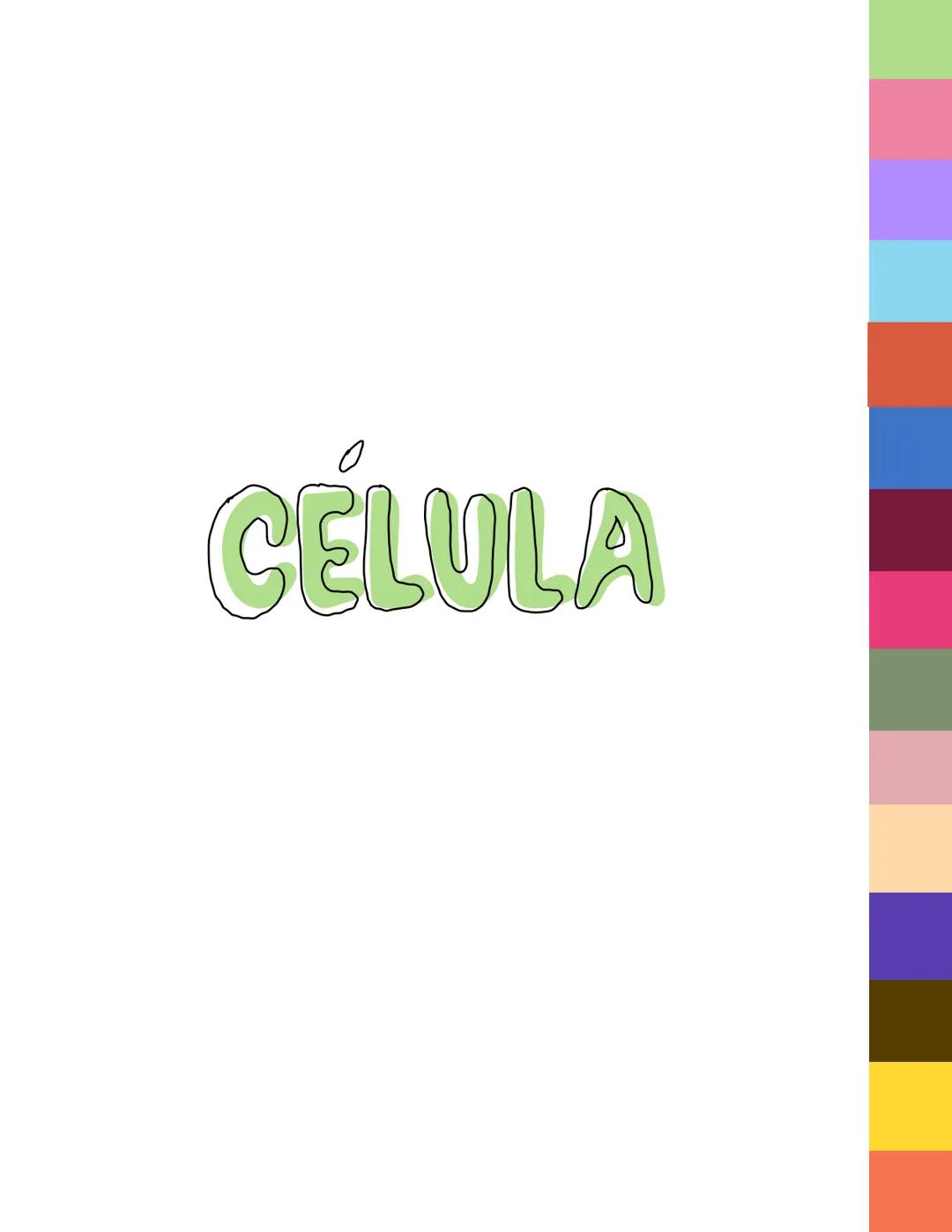 # CÉLULA # Origenes embrionarios
Ectodermo
-Mucosas oral y nasal, cornea y epidermis; glándulas de la
piel y mamarias.
Tegumento, encéfalo