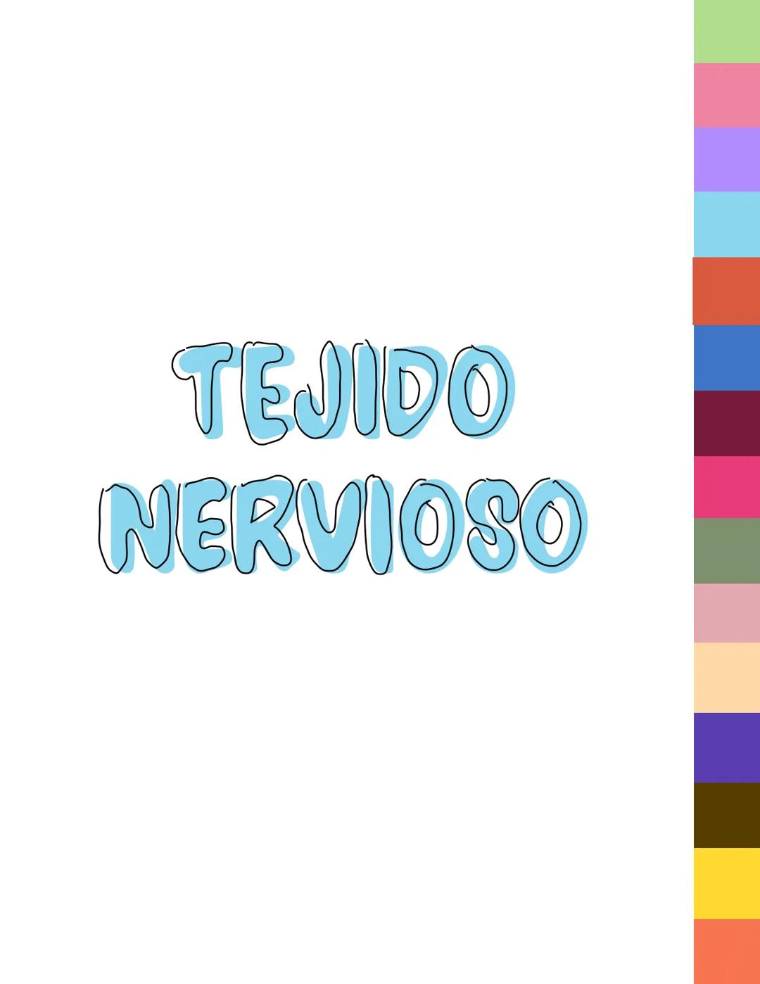 Tejido nervioso