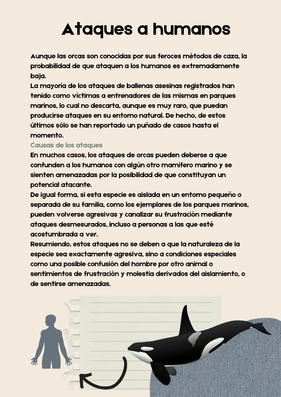 Biología I
Reporte de investigación
Orcas Marinas GODFATHER
Into the woods (
Tabla de
contenido
• Portada
• Tabla de contenido
• Indice de t