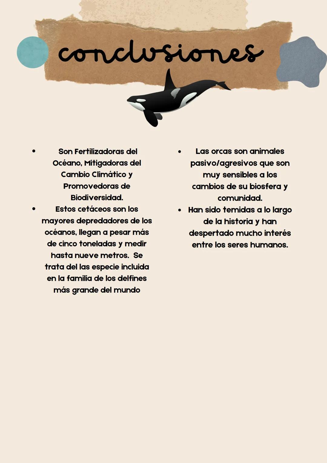 Biología I
Reporte de investigación
Orcas Marinas GODFATHER
Into the woods (
Tabla de
contenido
• Portada
• Tabla de contenido
• Indice de t