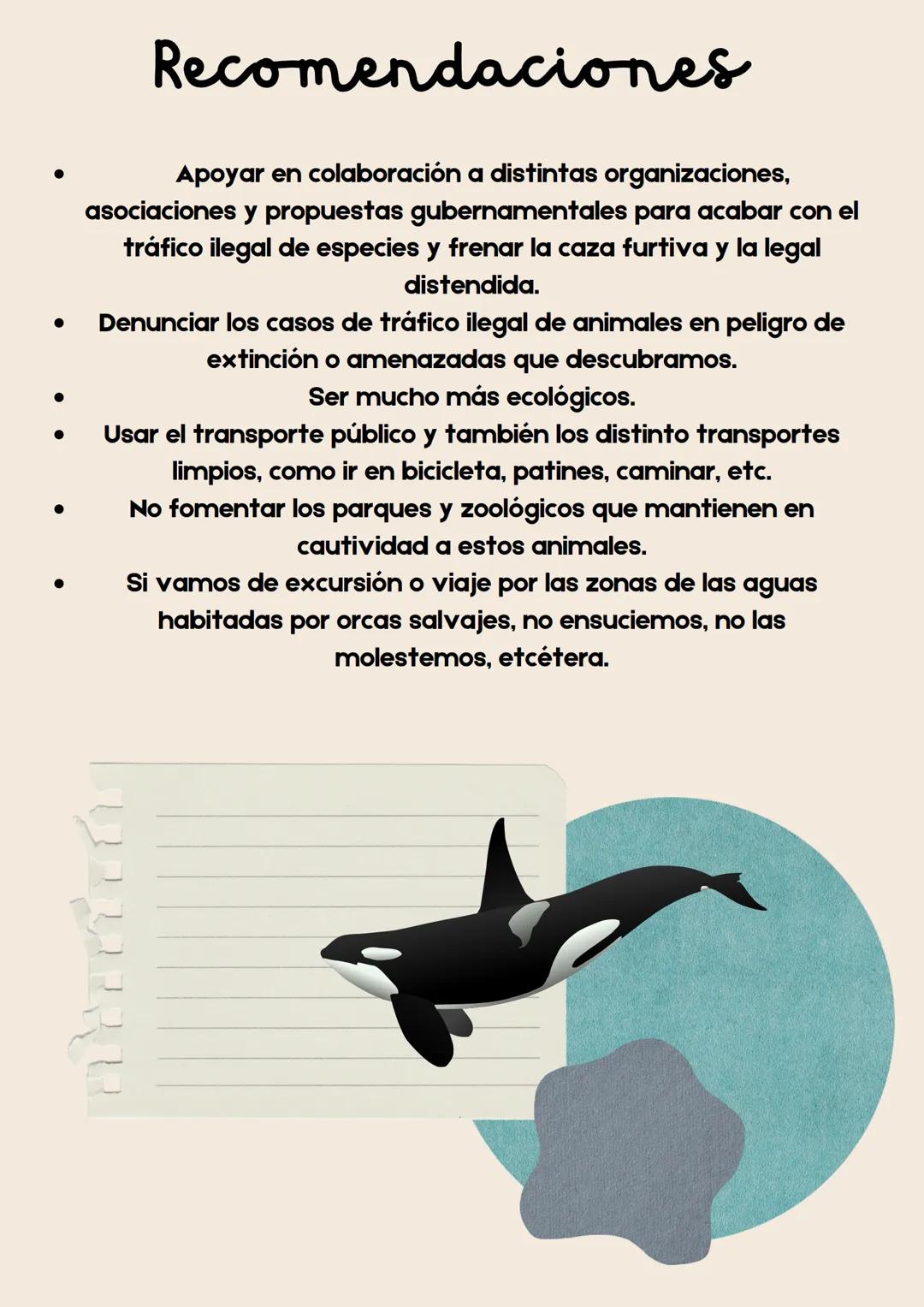 Biología I
Reporte de investigación
Orcas Marinas GODFATHER
Into the woods (
Tabla de
contenido
• Portada
• Tabla de contenido
• Indice de t