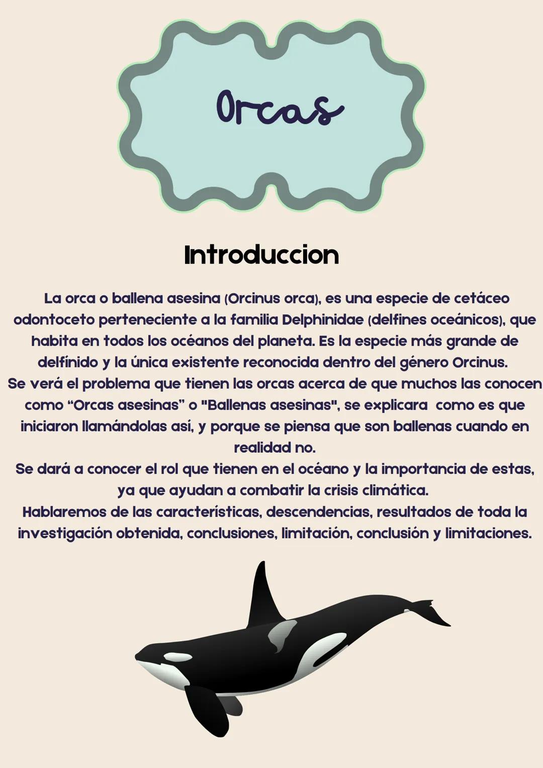 Biología I
Reporte de investigación
Orcas Marinas GODFATHER
Into the woods (
Tabla de
contenido
• Portada
• Tabla de contenido
• Indice de t