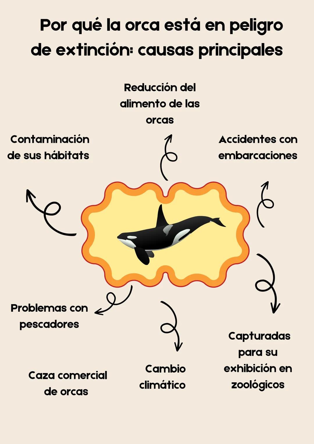 Biología I
Reporte de investigación
Orcas Marinas GODFATHER
Into the woods (
Tabla de
contenido
• Portada
• Tabla de contenido
• Indice de t