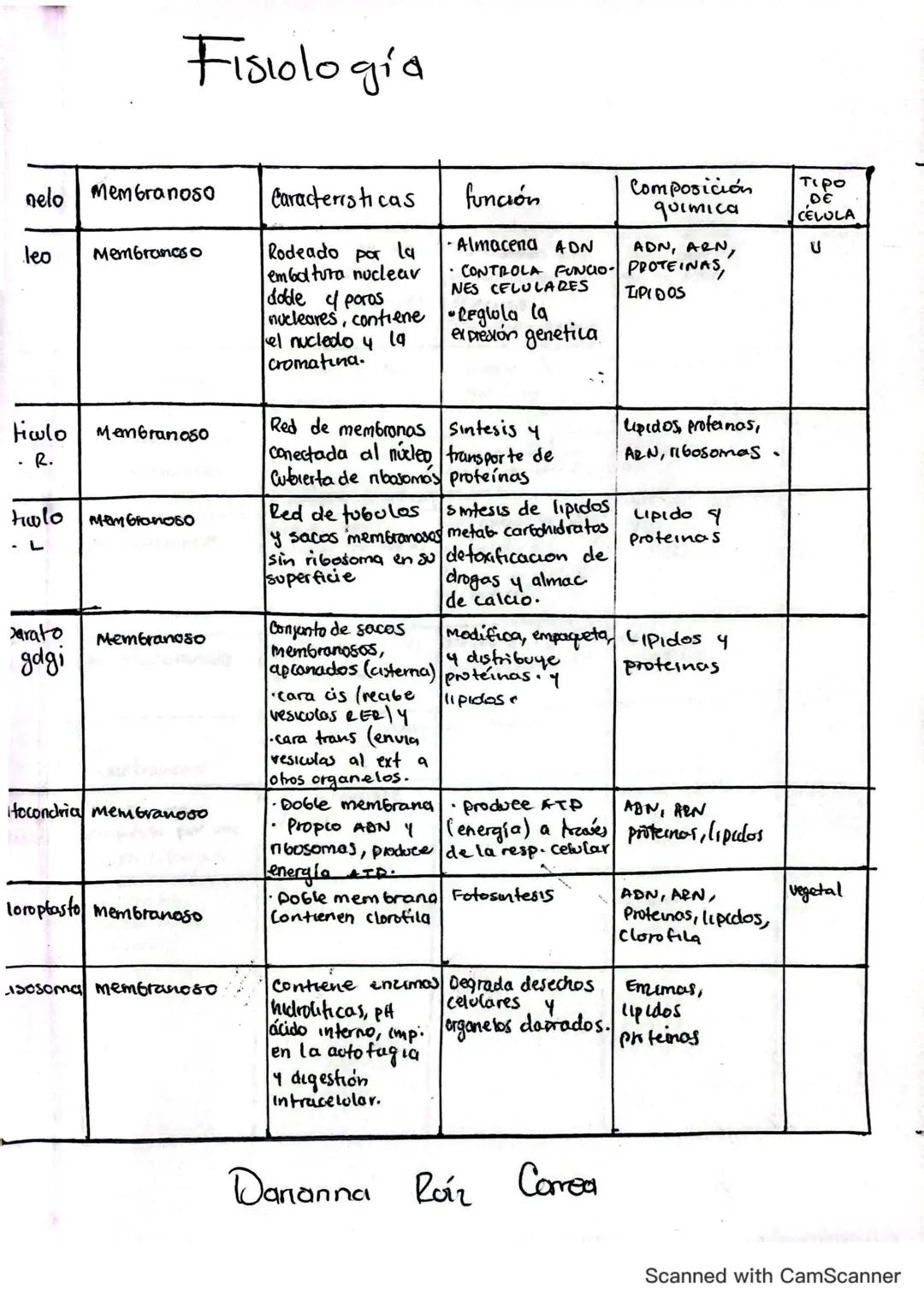 Fisiologia
toesqueleto
ofilamentos
Microtubulos
Glucogeno
soma
plasma
Lisosoma
Aparato de
Golgi
6
Nocleo
Nucleolo
Centriolos
Mem