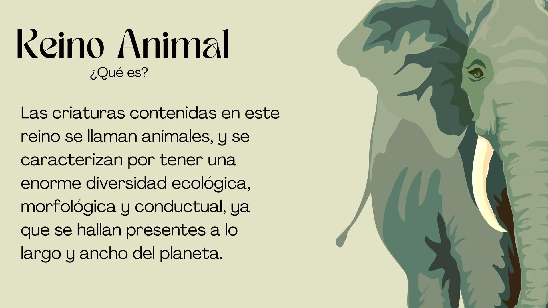 BIOLOGIA II
# Historia de la clasificación mmi
# Contenidos.
* Introducción
* Historia de la clasificación
* Aristóteles
* Animales
