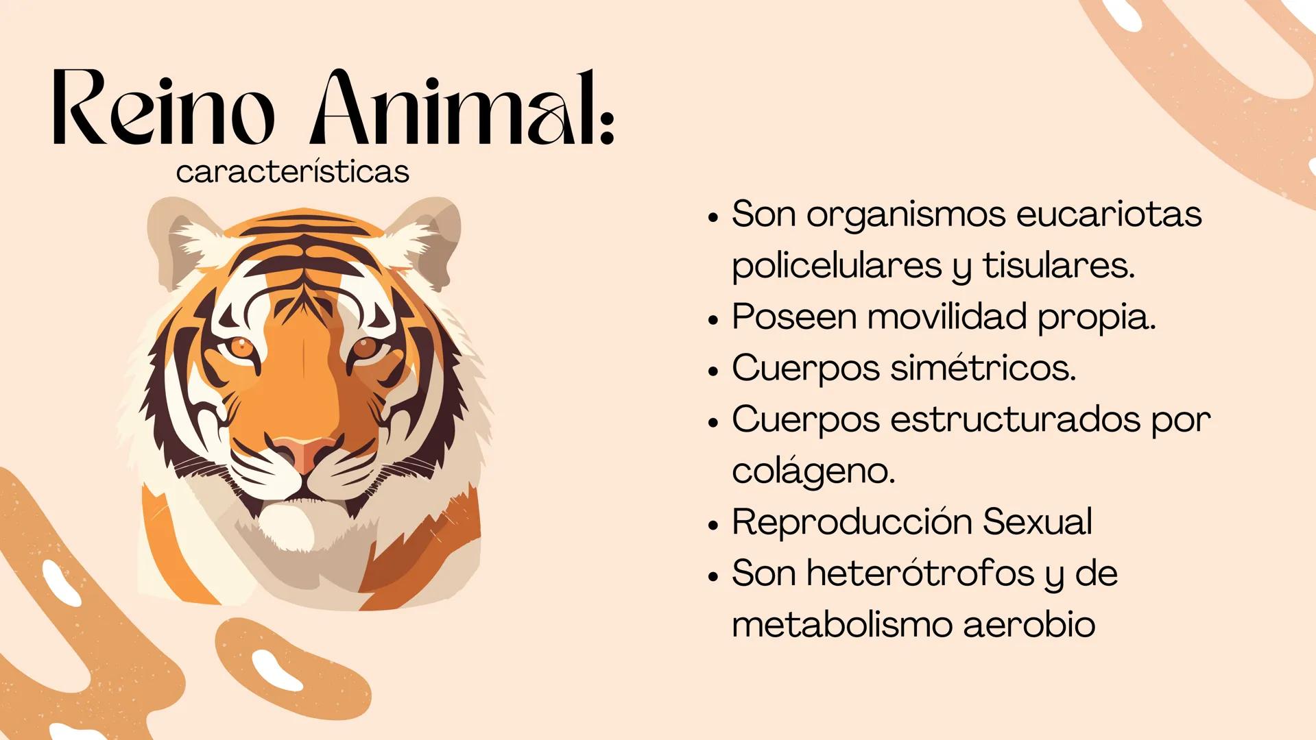 BIOLOGIA II
# Historia de la clasificación mmi
# Contenidos.
* Introducción
* Historia de la clasificación
* Aristóteles
* Animales
