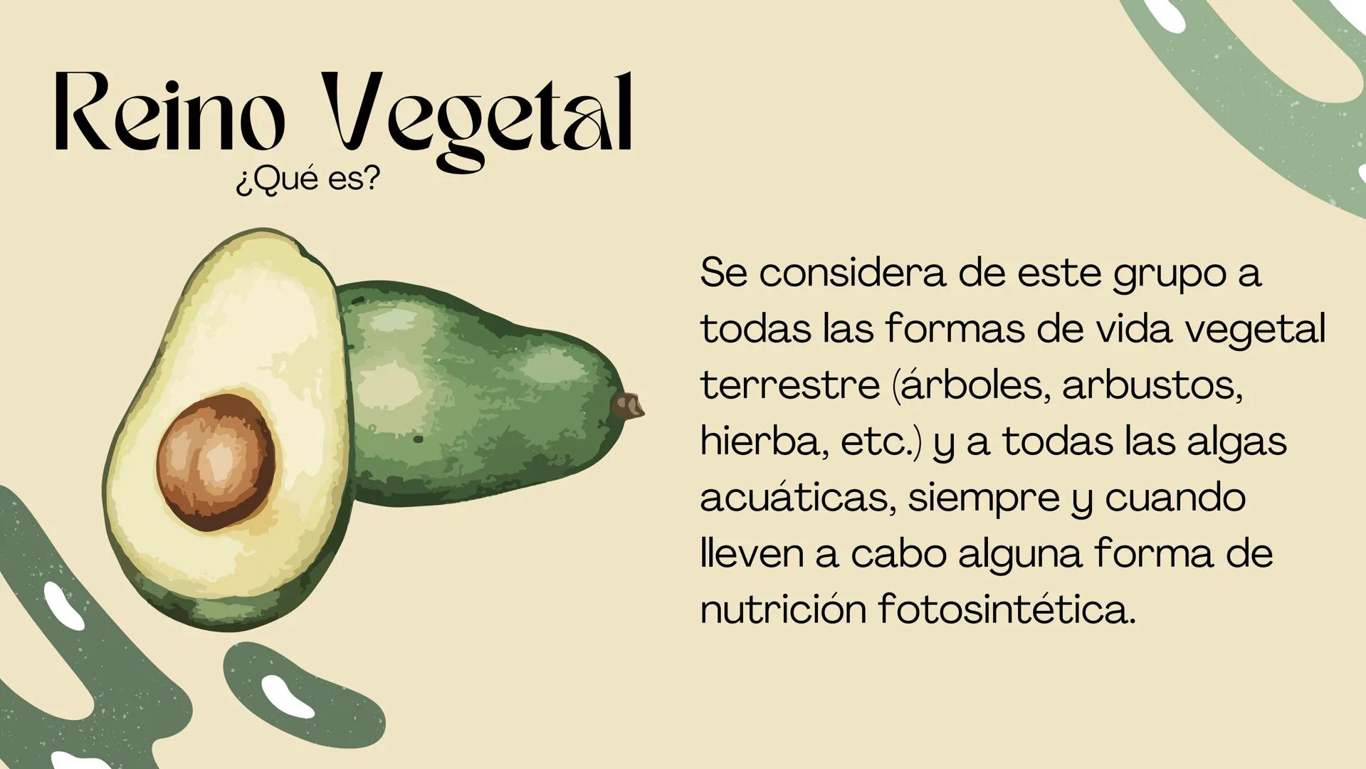 BIOLOGIA II
# Historia de la clasificación mmi
# Contenidos.
* Introducción
* Historia de la clasificación
* Aristóteles
* Animales