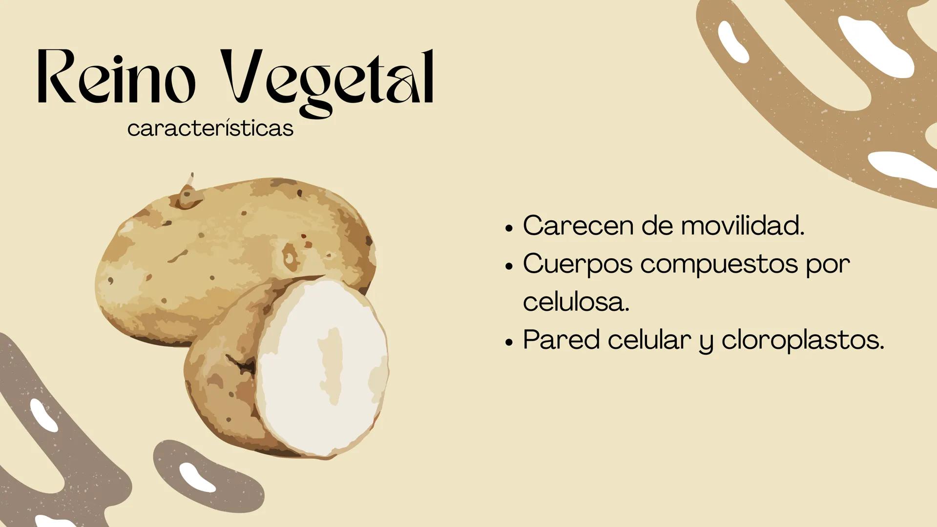BIOLOGIA II
# Historia de la clasificación mmi
# Contenidos.
* Introducción
* Historia de la clasificación
* Aristóteles
* Animales