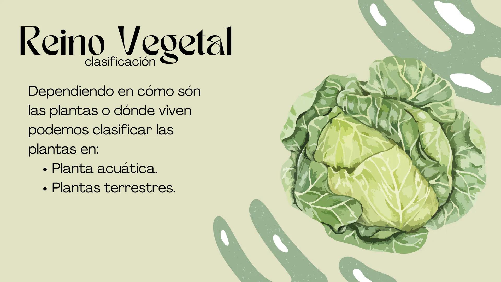 BIOLOGIA II
# Historia de la clasificación mmi
# Contenidos.
* Introducción
* Historia de la clasificación
* Aristóteles
* Animales