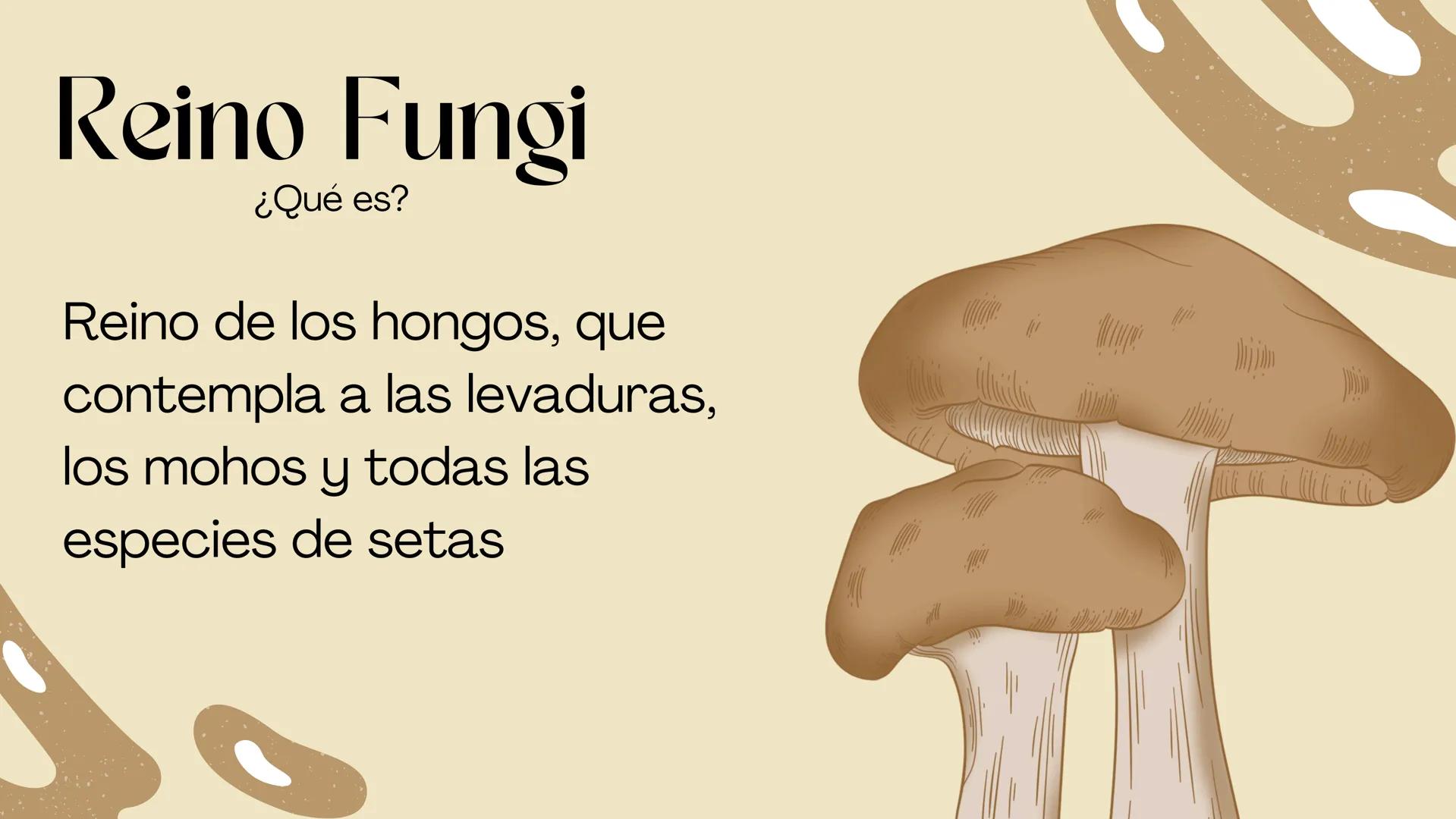 BIOLOGIA II
# Historia de la clasificación mmi
# Contenidos.
* Introducción
* Historia de la clasificación
* Aristóteles
* Animales