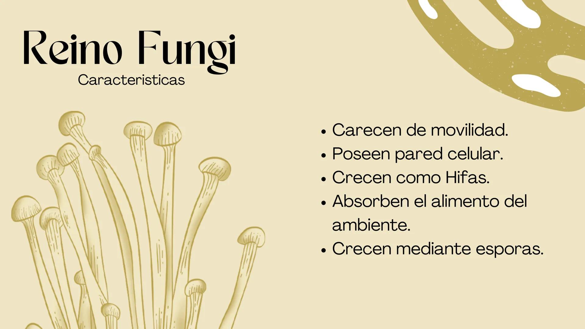 BIOLOGIA II
# Historia de la clasificación mmi
# Contenidos.
* Introducción
* Historia de la clasificación
* Aristóteles
* Animales