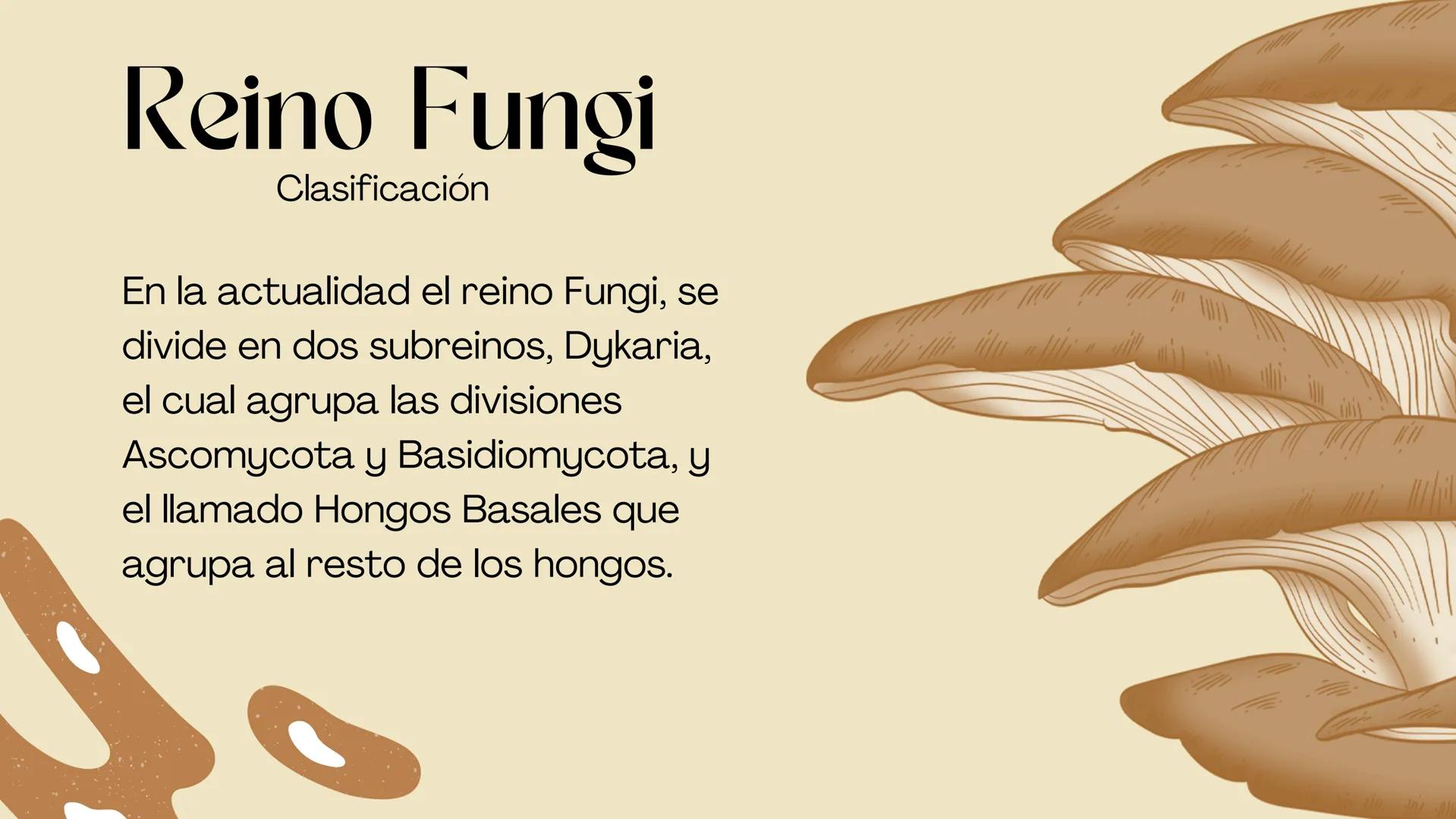 BIOLOGIA II
# Historia de la clasificación mmi
# Contenidos.
* Introducción
* Historia de la clasificación
* Aristóteles
* Animales