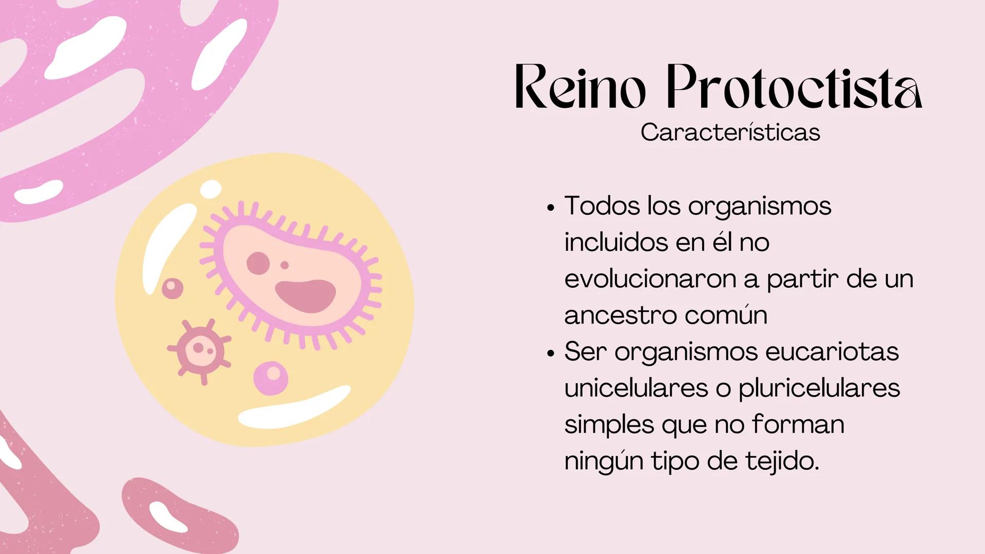 BIOLOGIA II
# Historia de la clasificación mmi
# Contenidos.
* Introducción
* Historia de la clasificación
* Aristóteles
* Animales