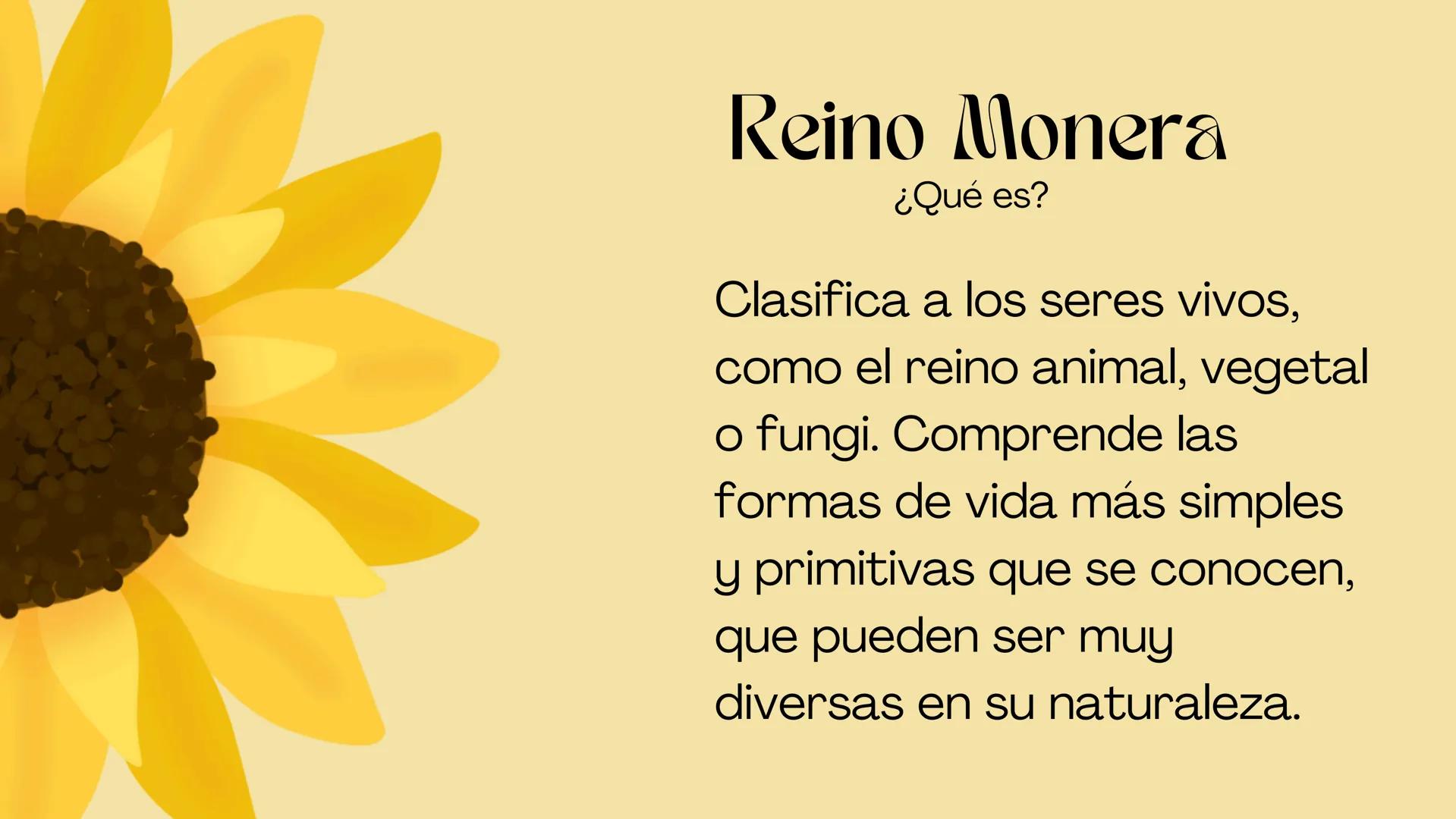 BIOLOGIA II
# Historia de la clasificación mmi
# Contenidos.
* Introducción
* Historia de la clasificación
* Aristóteles
* Animales