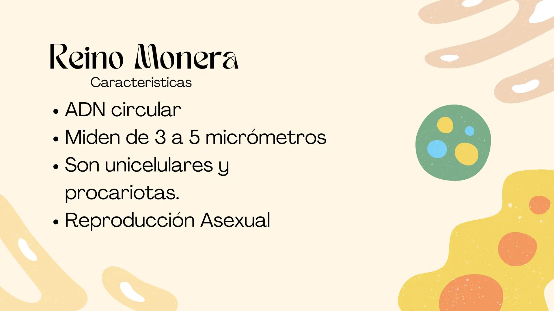 BIOLOGIA II
# Historia de la clasificación mmi
# Contenidos.
* Introducción
* Historia de la clasificación
* Aristóteles
* Animales