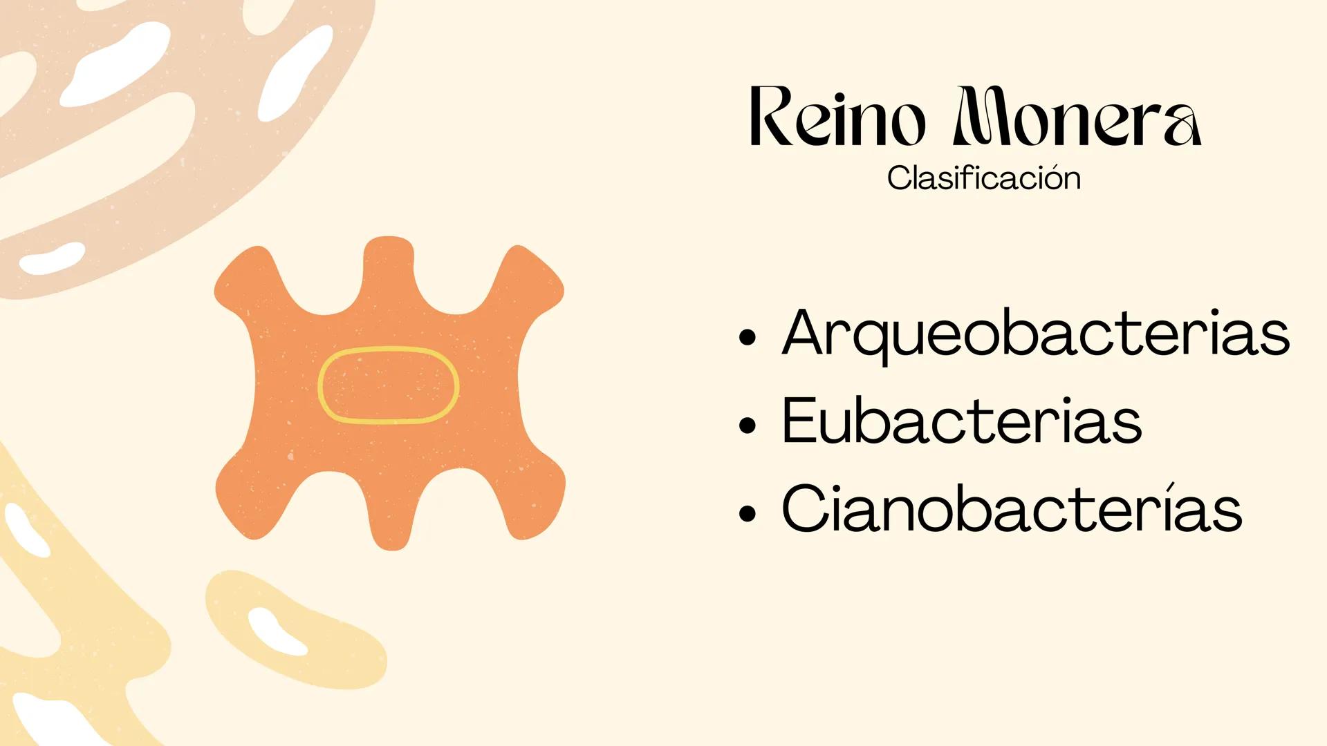 BIOLOGIA II
# Historia de la clasificación mmi
# Contenidos.
* Introducción
* Historia de la clasificación
* Aristóteles
* Animales