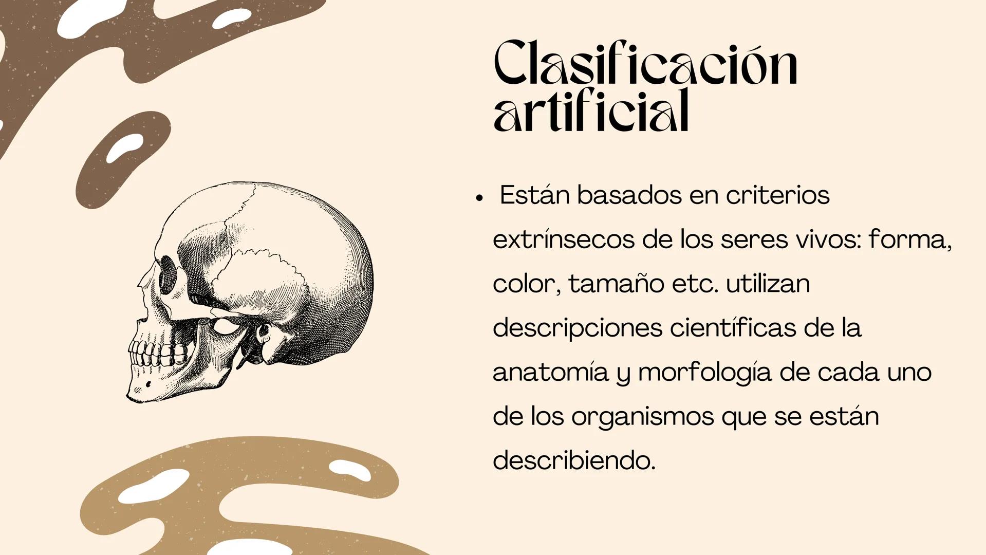 BIOLOGIA II
# Historia de la clasificación mmi
# Contenidos.
* Introducción
* Historia de la clasificación
* Aristóteles
* Animales