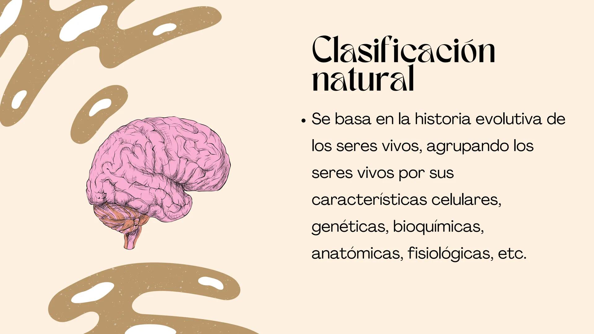 BIOLOGIA II
# Historia de la clasificación mmi
# Contenidos.
* Introducción
* Historia de la clasificación
* Aristóteles
* Animales