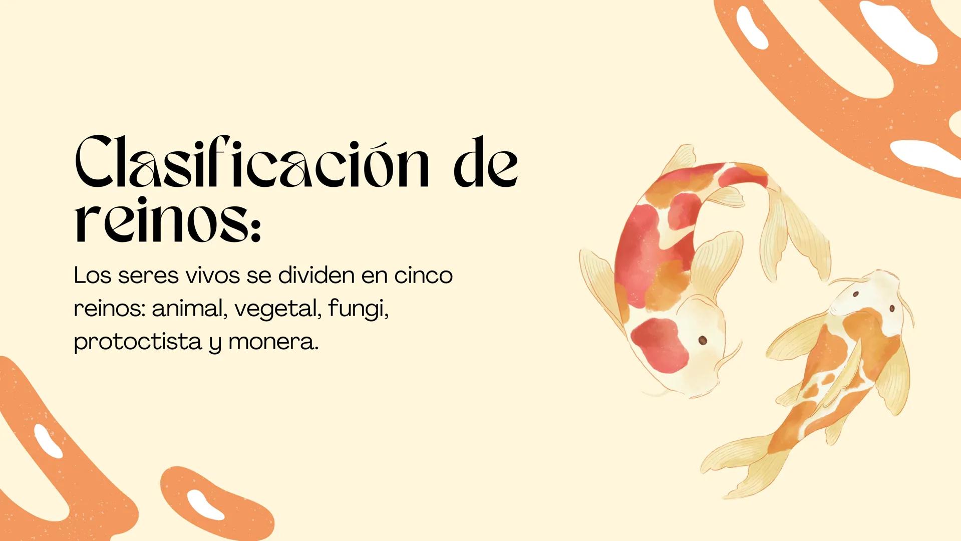 BIOLOGIA II
# Historia de la clasificación mmi
# Contenidos.
* Introducción
* Historia de la clasificación
* Aristóteles
* Animales