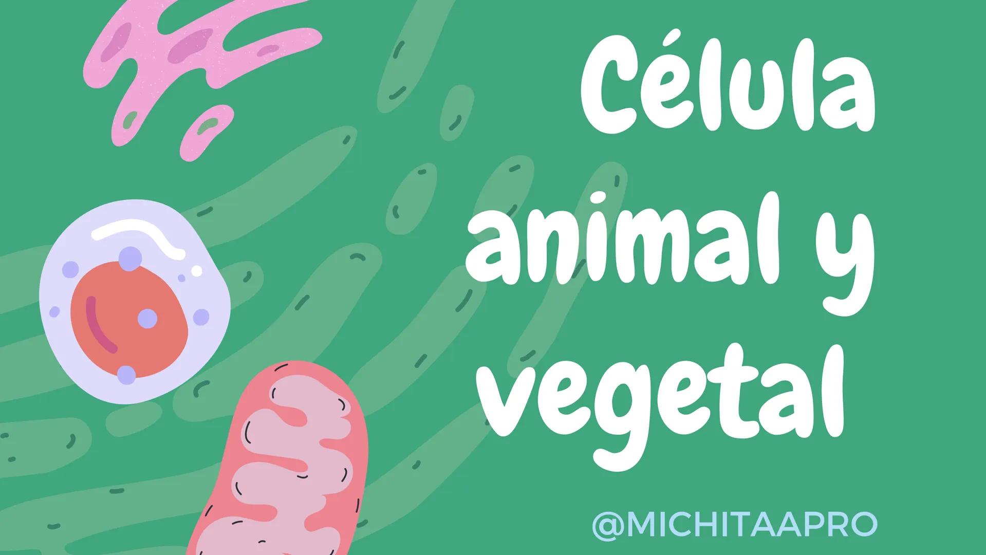 Célula
animal y
vegetal
@MICHTAAPRO # Índice
1. ¿QUÉ ES?
2. DIFERENCIAS Y
SIMILITUDES
3. CARACTERISTICAS
4. CONCLUSIÓN # ¿Que son?
CÉLULA