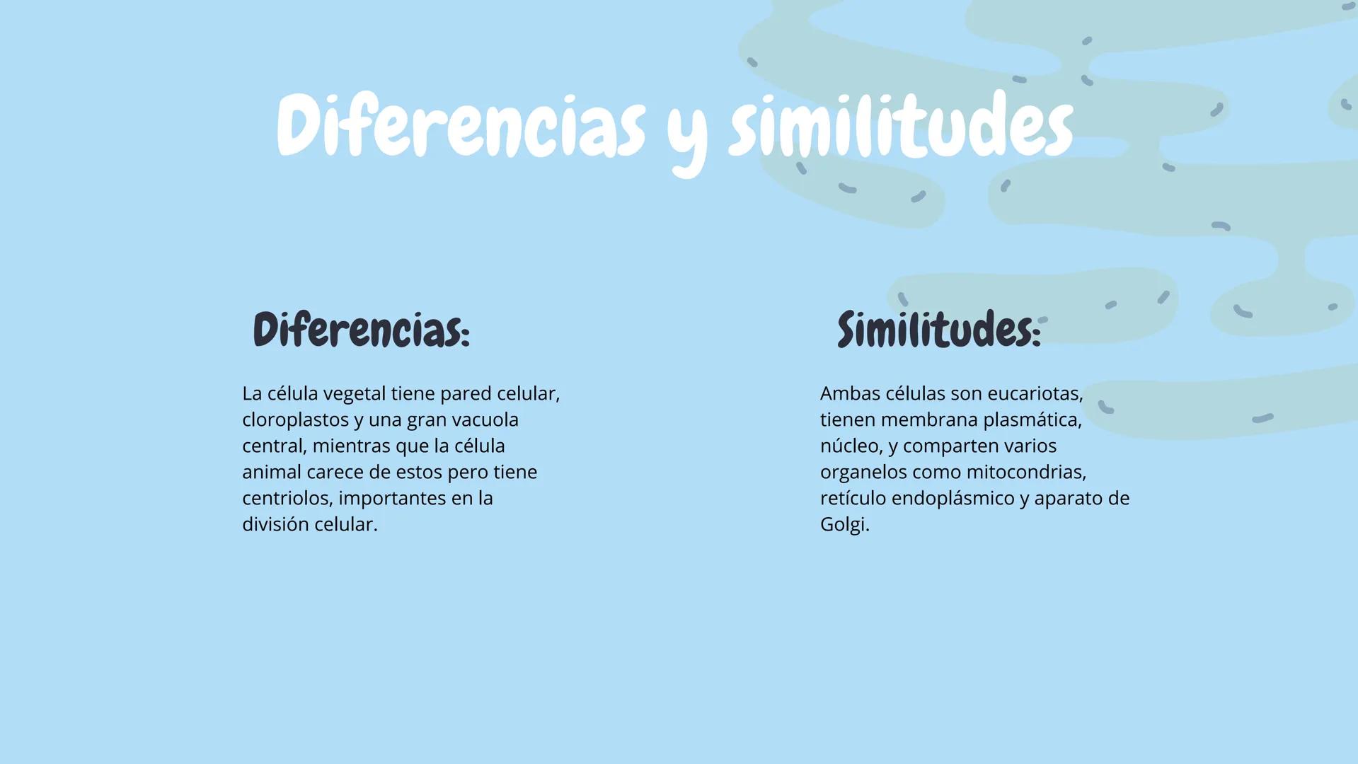 Célula
animal y
vegetal
@MICHTAAPRO # Índice
1. ¿QUÉ ES?
2. DIFERENCIAS Y
SIMILITUDES
3. CARACTERISTICAS
4. CONCLUSIÓN # ¿Que son?
CÉLULA