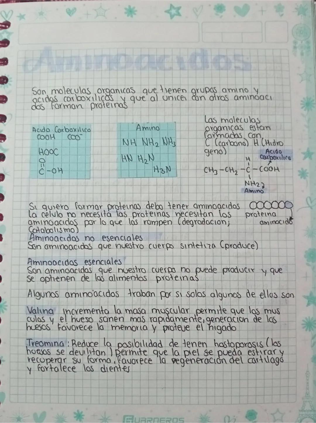 ♡
Aminoacidos
Son moleculas organicas que tienen grupas amino y
acidas carboxilicas y que al unice, con otros aminoacı
das forman proteinas