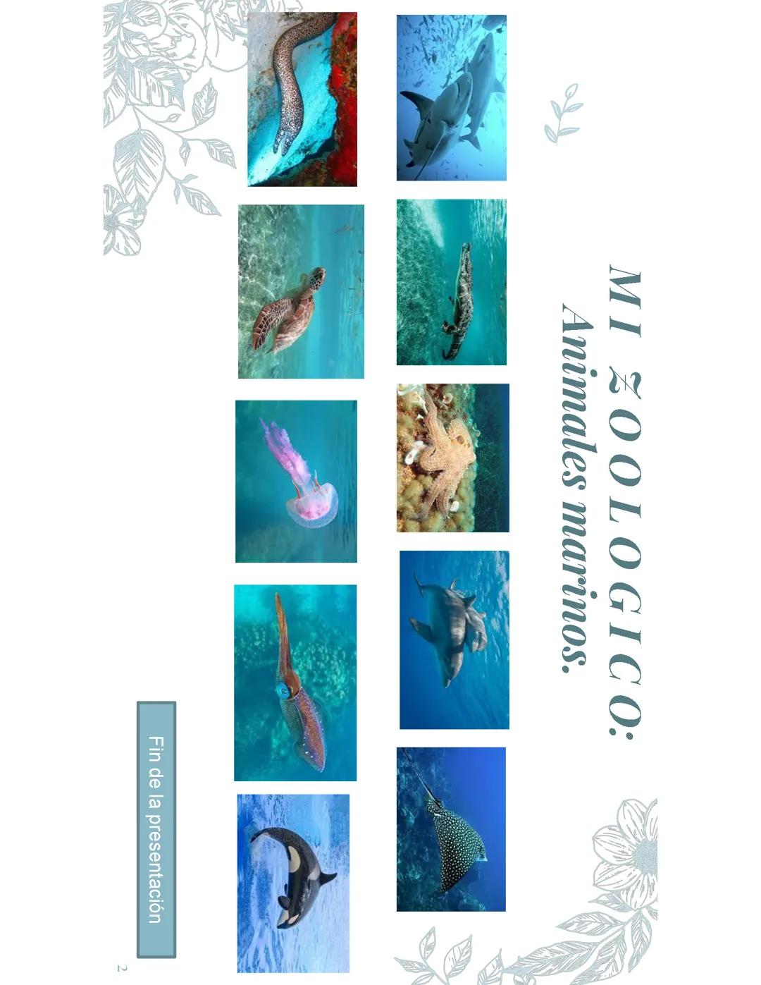 Descubre Fascinantes Animales Marinos