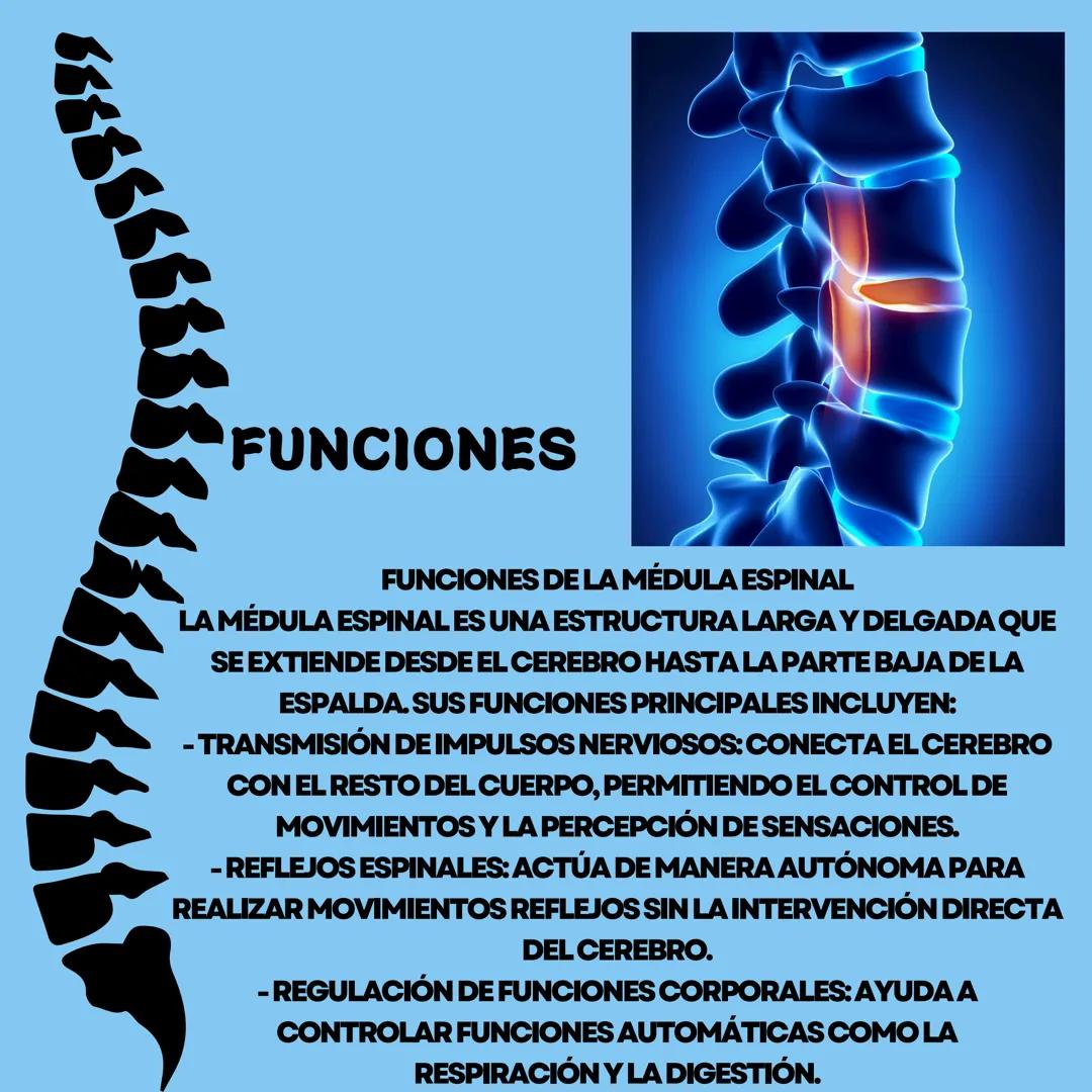 # MEDULA
ESPINAL
QUE ES
LA
MEDULA
ESPINAL
, una estructura vital del sistema nervioso central, es un
cordón largo y delgado que se extiend