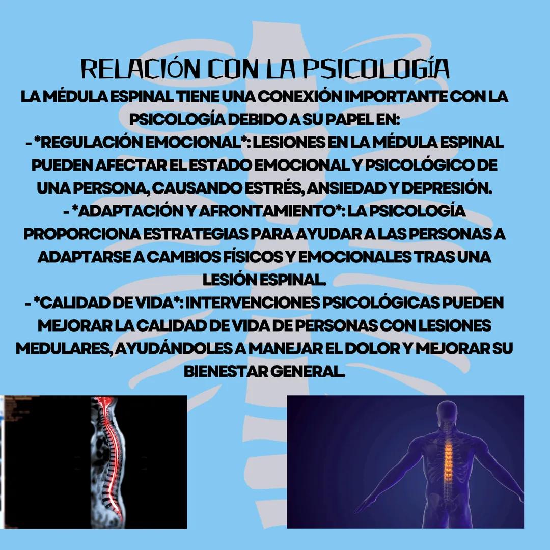 # MEDULA
ESPINAL
QUE ES
LA
MEDULA
ESPINAL
, una estructura vital del sistema nervioso central, es un
cordón largo y delgado que se extiend