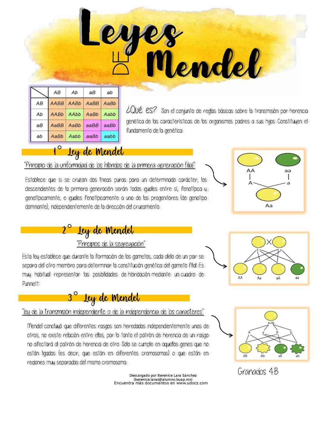 Leyes de Mendel