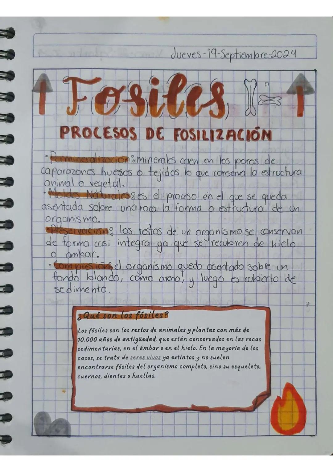 Jueves-19-Septiembre-2024
# Fosiles -↑
PROCESOS DE FOSILIZACIÓN
* Permineralización: Minerales caen en los poros de
caparazones huesos