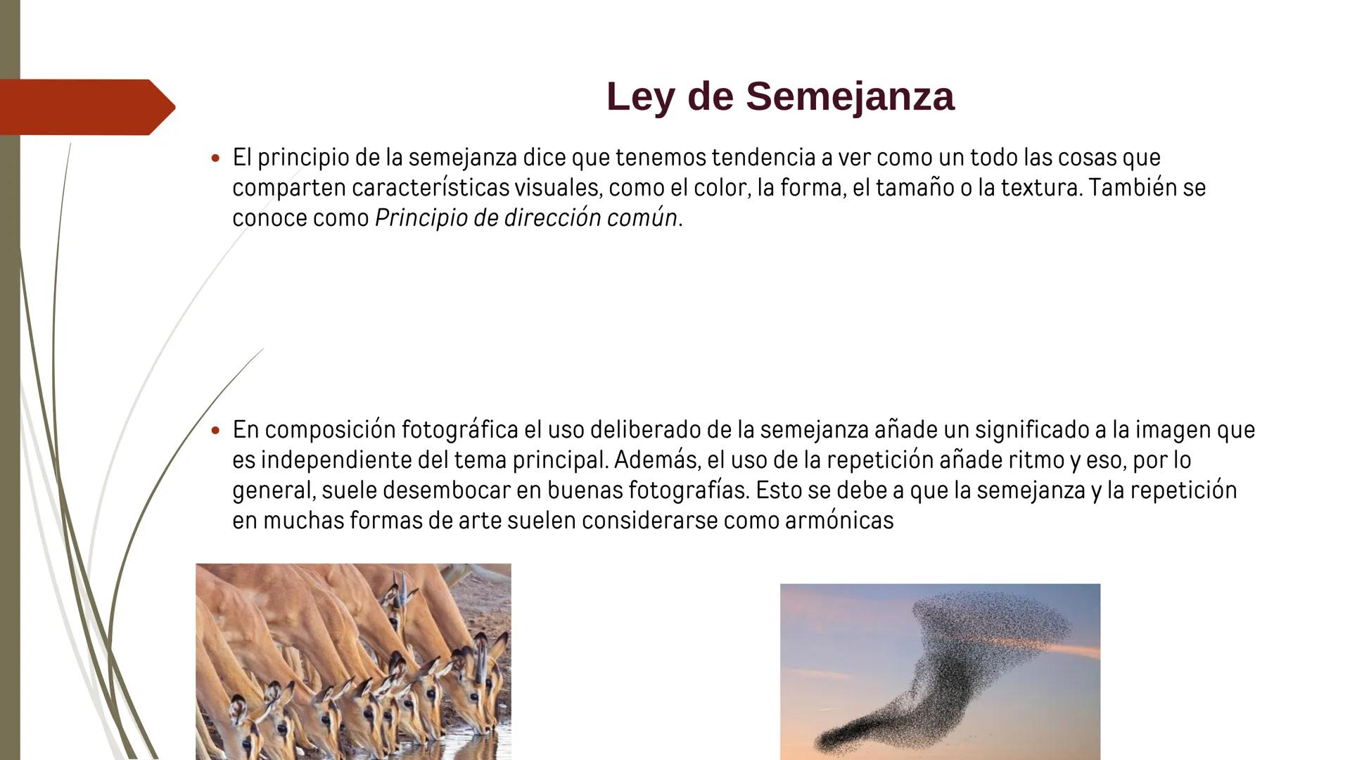 # ¿Qué es la Percepción?
• La percepción se puede definir como la capacidad para captar, procesar y dar
sentido de forma activa a la inform