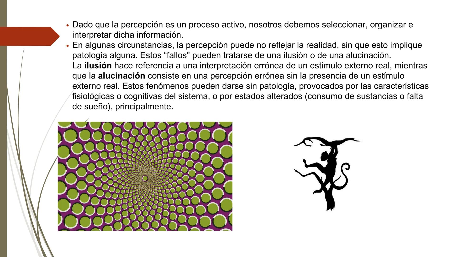# ¿Qué es la Percepción?
• La percepción se puede definir como la capacidad para captar, procesar y dar
sentido de forma activa a la inform