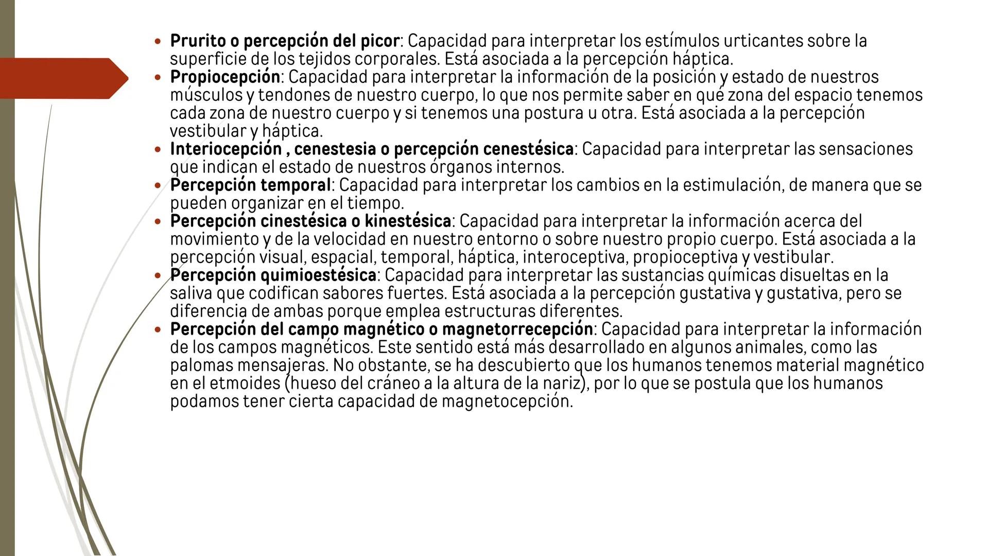 # ¿Qué es la Percepción?
• La percepción se puede definir como la capacidad para captar, procesar y dar
sentido de forma activa a la inform