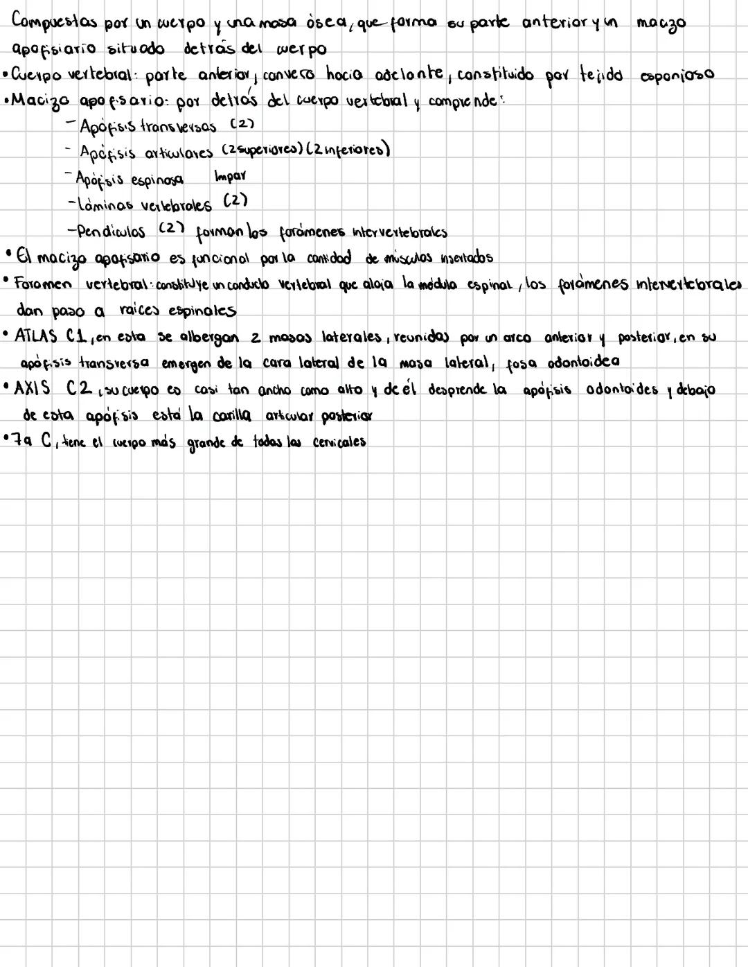 # Columna vertebral
Consta de 33 vértebras distribuidas en 5 regiones
7 cervicales (C1-C7)
12 torácicas (T1-T12)
5 lumbares (L1-15)
5 S