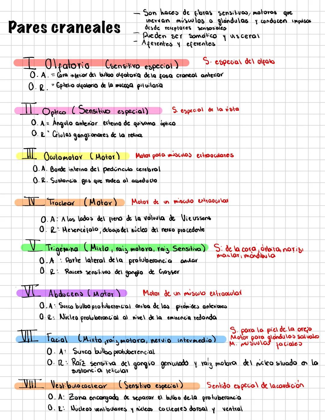 # Pares craneales
- Son haces de fibras sensitivas, motoros que
inervan músculos o glándulas y conducen impulsos
- desde receptores sensori