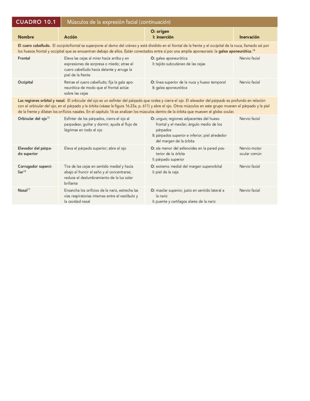 Movimiento:
# Sistema muscular
* Flexión: Disminuye el angulo entre los huesos y la articulación
* Extensión: Aumenta el angulo entre