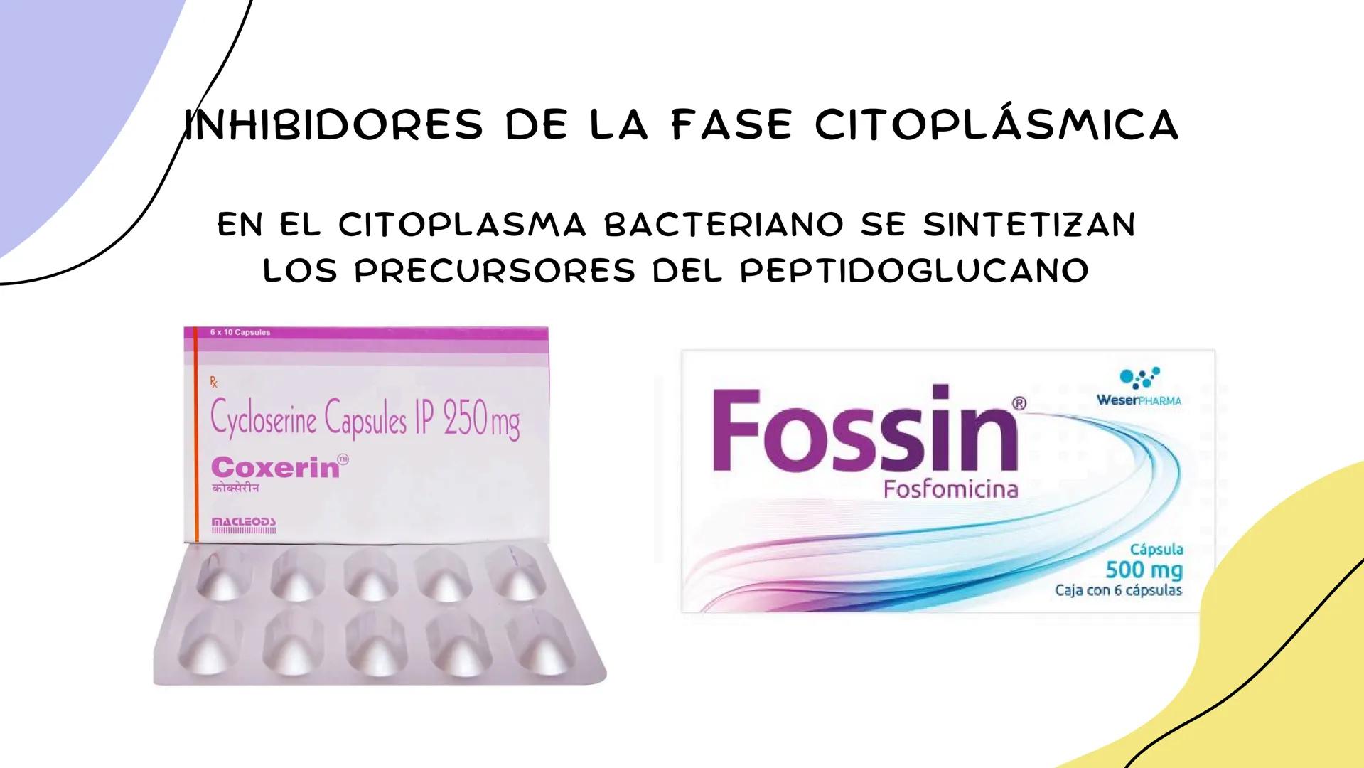 ANTIMICROBIANOS # LA ERA MODERNA DE LOS
ANTIBIÓTICOS (1899)
RUDOLF EMMERICH
OSCAR LÖW
PIOCIANASA
PSEUDOMONAS
AERUGINOSA
INFECCIÓN: QUEM