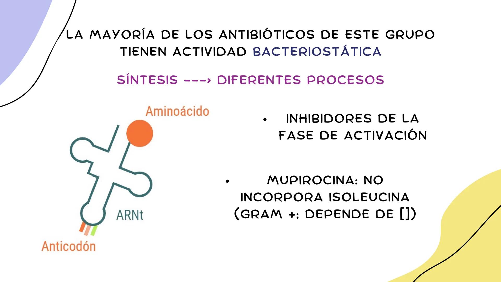ANTIMICROBIANOS # LA ERA MODERNA DE LOS
ANTIBIÓTICOS (1899)
RUDOLF EMMERICH
OSCAR LÖW
PIOCIANASA
PSEUDOMONAS
AERUGINOSA
INFECCIÓN: QUEM