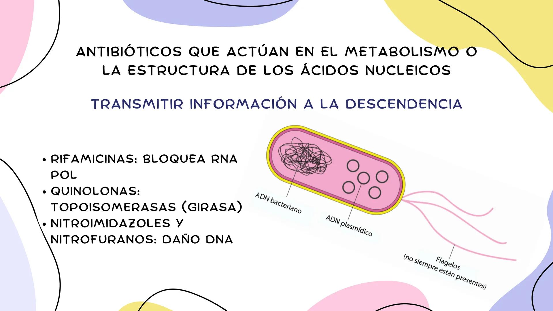 ANTIMICROBIANOS # LA ERA MODERNA DE LOS
ANTIBIÓTICOS (1899)
RUDOLF EMMERICH
OSCAR LÖW
PIOCIANASA
PSEUDOMONAS
AERUGINOSA
INFECCIÓN: QUEM