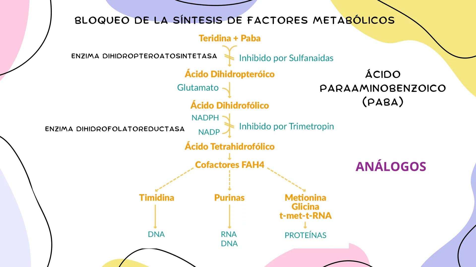 ANTIMICROBIANOS # LA ERA MODERNA DE LOS
ANTIBIÓTICOS (1899)
RUDOLF EMMERICH
OSCAR LÖW
PIOCIANASA
PSEUDOMONAS
AERUGINOSA
INFECCIÓN: QUEM