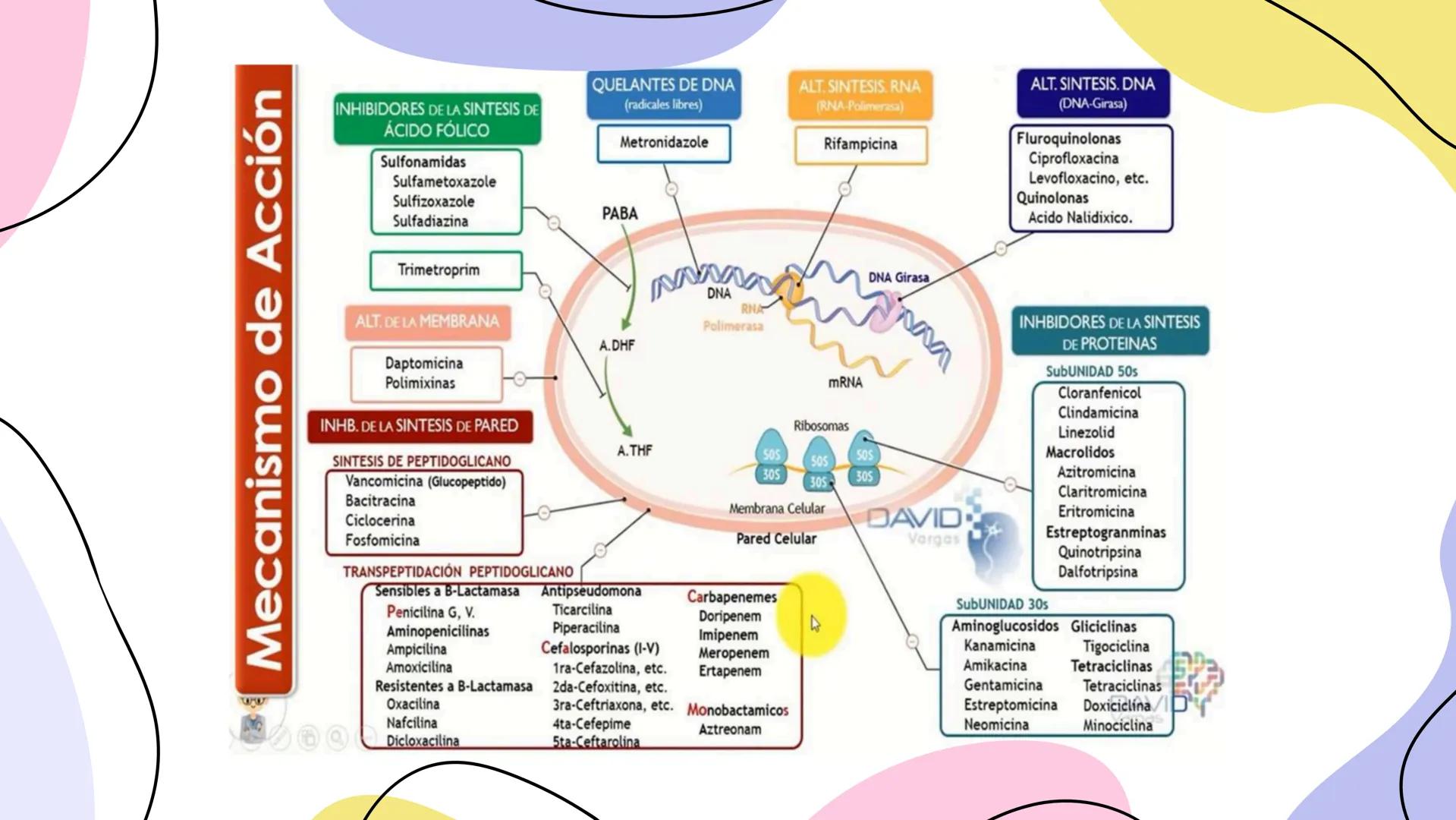 ANTIMICROBIANOS # LA ERA MODERNA DE LOS
ANTIBIÓTICOS (1899)
RUDOLF EMMERICH
OSCAR LÖW
PIOCIANASA
PSEUDOMONAS
AERUGINOSA
INFECCIÓN: QUEM