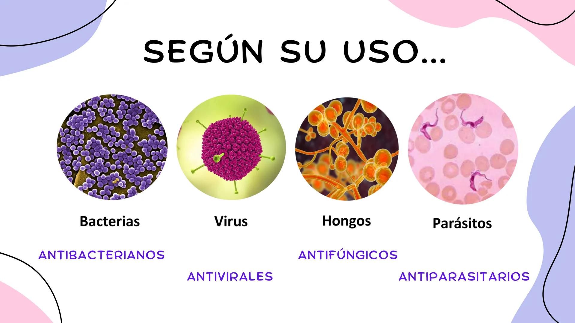 ANTIMICROBIANOS # LA ERA MODERNA DE LOS
ANTIBIÓTICOS (1899)
RUDOLF EMMERICH
OSCAR LÖW
PIOCIANASA
PSEUDOMONAS
AERUGINOSA
INFECCIÓN: QUEM