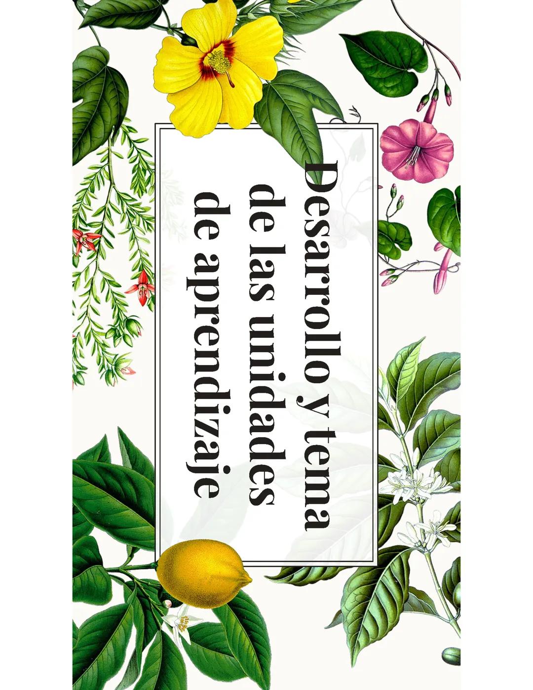 Matemática y vida cotidiana I