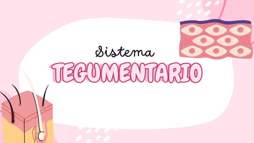 El sistema tegumentario