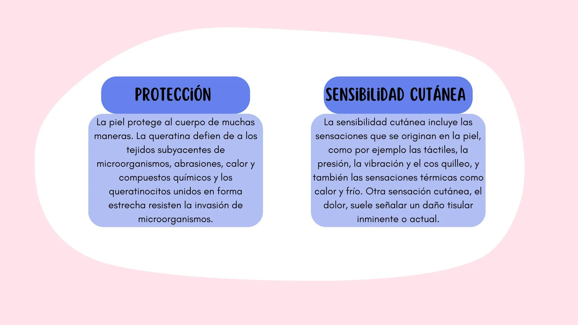 Sistema
TEGUMENTARIO # CIENCIAS DE LA SALUD
!! # ¿QUÉ ES EL SISTEMA TEGUMENTARIO?
El sistema tegumentario está compuesto por la piel,
el c
