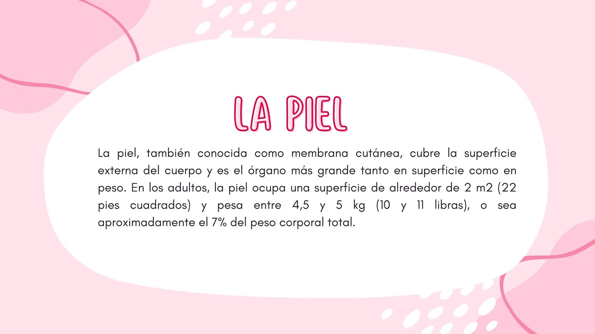 Sistema
TEGUMENTARIO # CIENCIAS DE LA SALUD
!! # ¿QUÉ ES EL SISTEMA TEGUMENTARIO?
El sistema tegumentario está compuesto por la piel,
el c