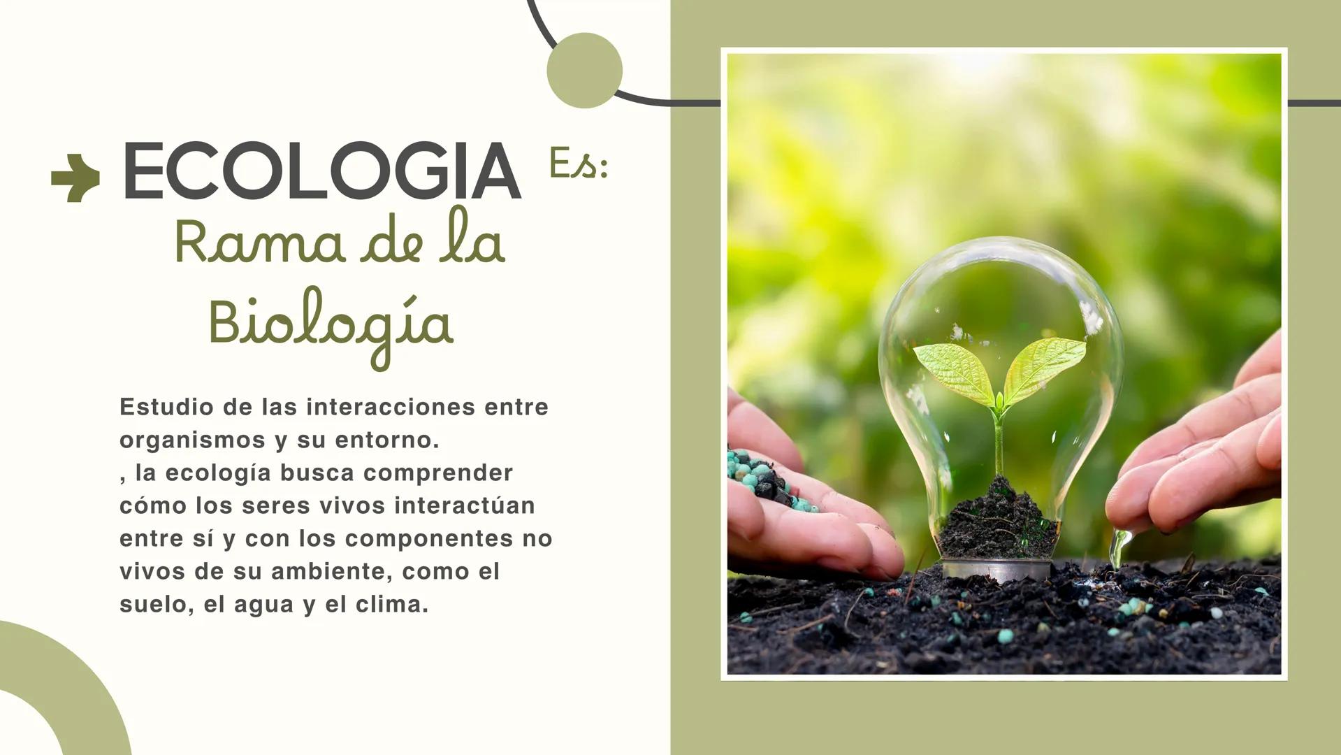 Ecología
CUIDADO DEL
MEDIO AMBIENTE +
Objetivo
Concienciar sobre la importancia de cuidar nuestro
medio ambiente y promover prácticas sosten