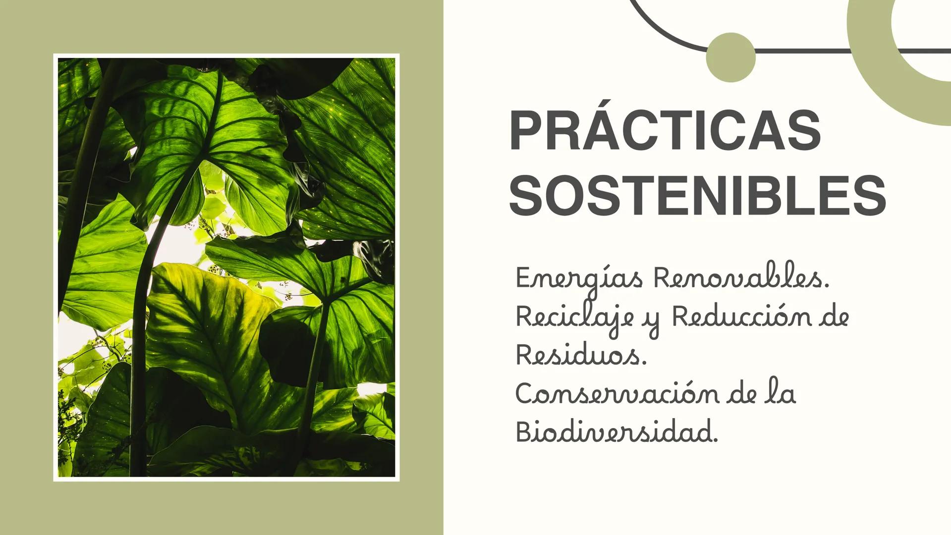 Ecología
CUIDADO DEL
MEDIO AMBIENTE +
Objetivo
Concienciar sobre la importancia de cuidar nuestro
medio ambiente y promover prácticas sosten